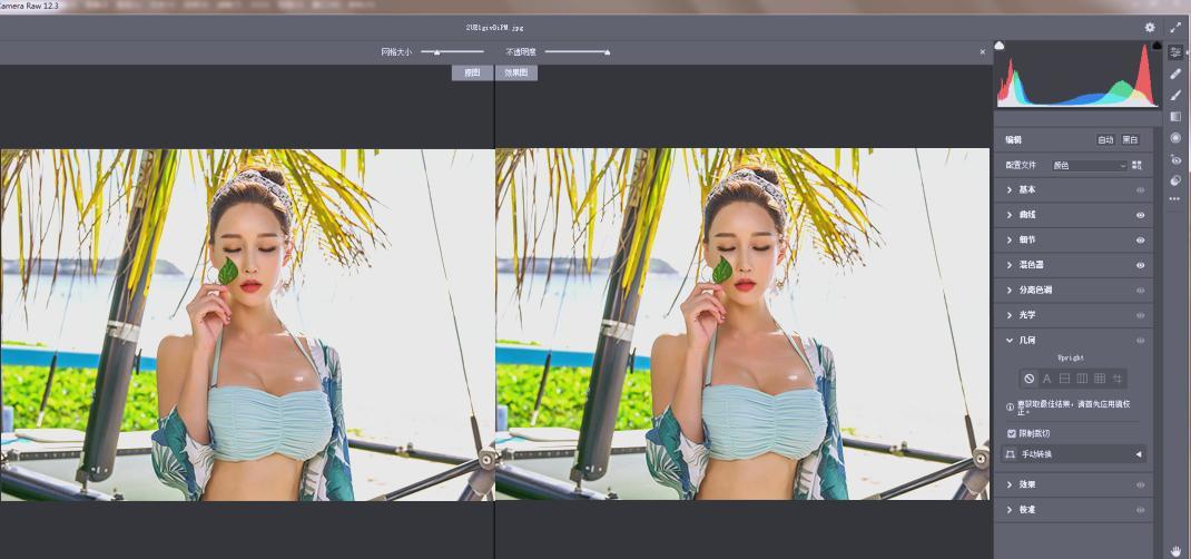 RAW处理Adobe Camera Raw v18.3.2中文版 RAW处理Adobe Camera Raw v18.3.2中文版