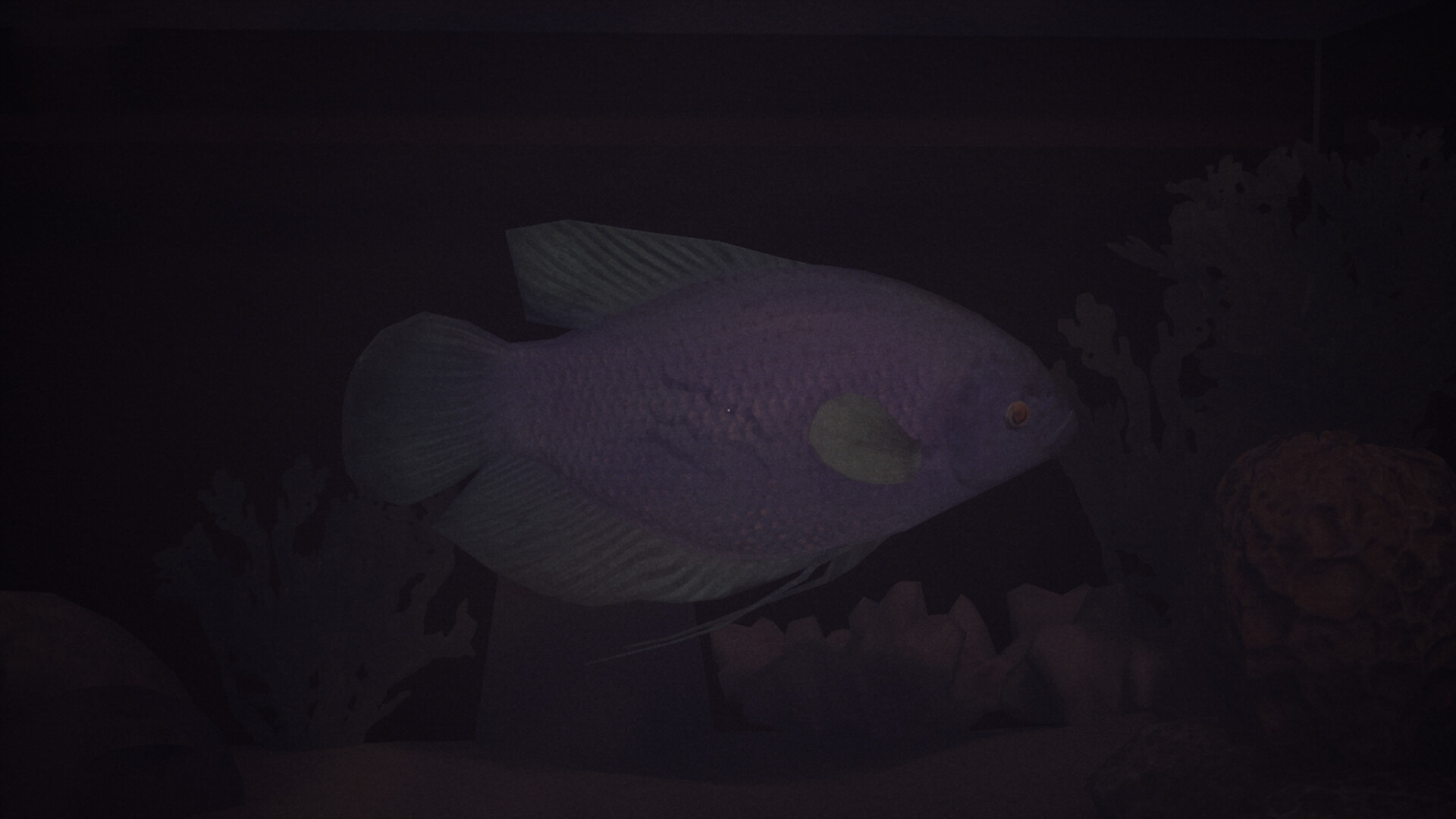 哈鲁：金鱼/Halu - The Fish 新游发布